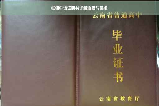 低保申请证明书详解流程与要求