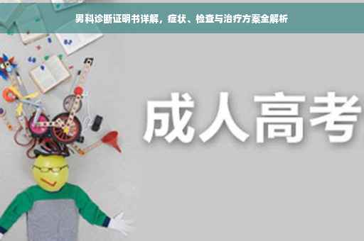 男科诊断证明书详解，症状、检查与治疗方案全解析
