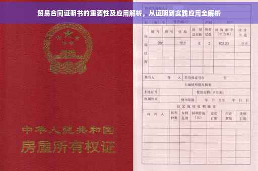 贸易合同证明书的重要性及应用解析，从证明到实践应用全解析
