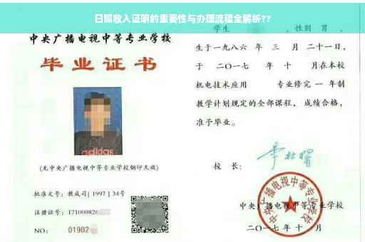 日照收入证明的重要性与办理流程全解析??