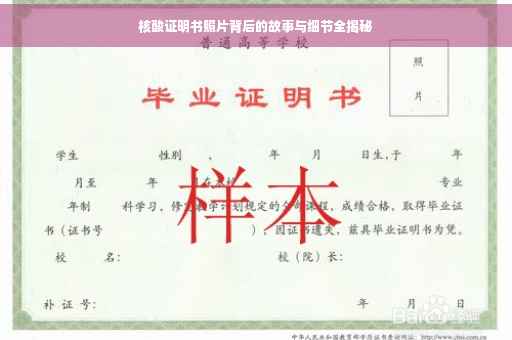 核酸证明书照片背后的故事与细节全揭秘