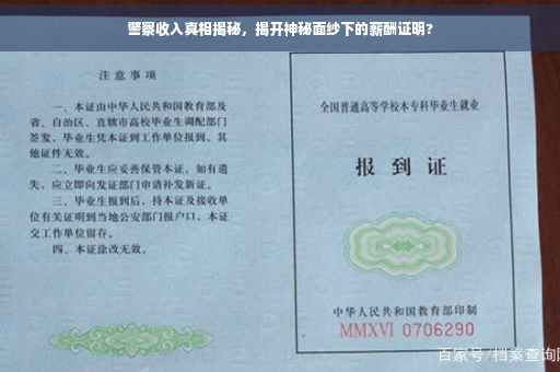 警察收入真相揭秘，揭开神秘面纱下的薪酬证明?