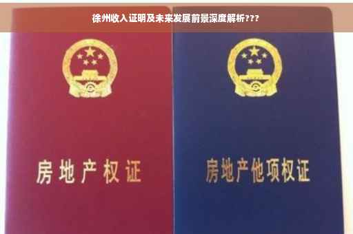 徐州收入证明及未来发展前景深度解析???