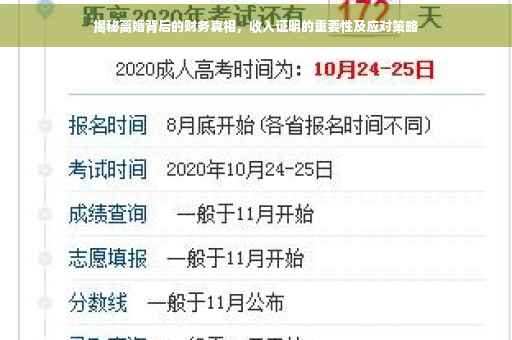 揭秘离婚背后的财务真相，收入证明的重要性及应对策略