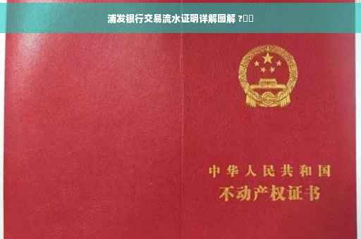 浦发银行交易流水证明详解图解 ?⚡️