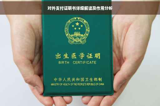 对外支付证明书详细解读及作用分析