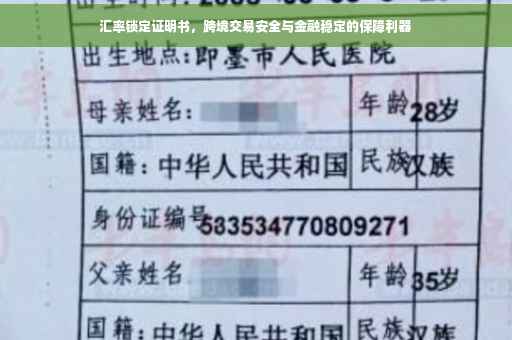 汇率锁定证明书，跨境交易安全与金融稳定的保障利器