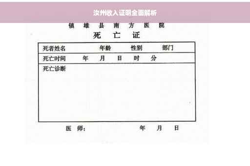 汝州收入证明全面解析