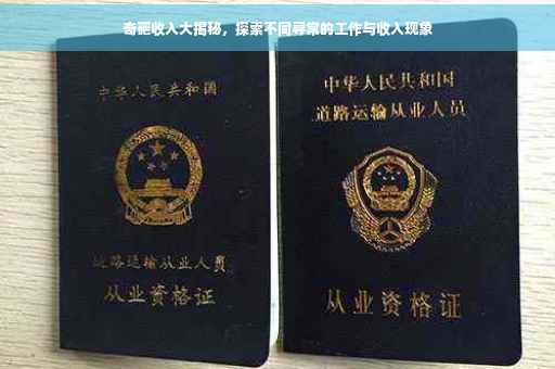 奇葩收入大揭秘，探索不同寻常的工作与收入现象