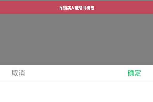 车辆买入证明书概览