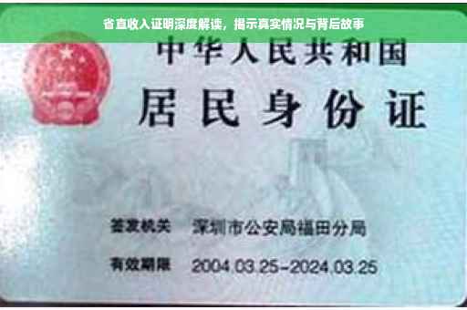 省直收入证明深度解读，揭示真实情况与背后故事