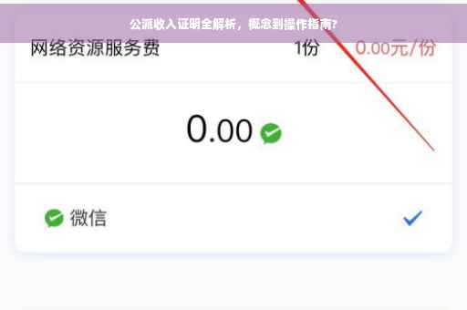 公派收入证明全解析，概念到操作指南?