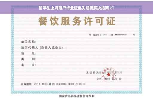 留学生上海落户毕业证丢失危机解决指南 ?✨