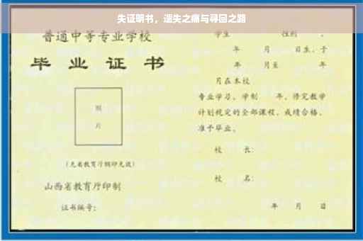 失证明书，遗失之痛与寻回之路