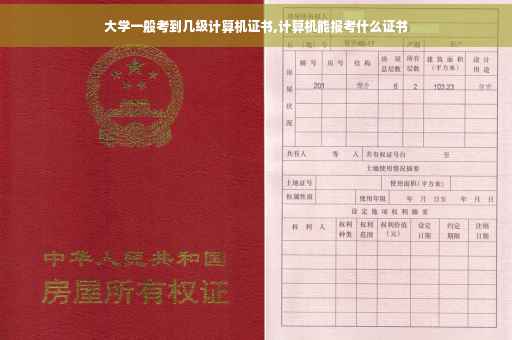 大学一般考到几级计算机证书,计算机能报考什么证书