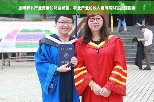 揭秘萝卜产业背后的财富秘密，农业产业的收入证明与财富之路探索