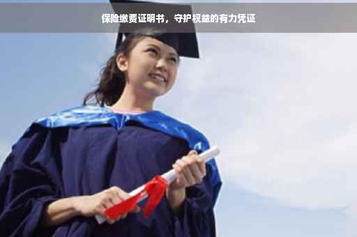 保险缴费证明书，守护权益的有力凭证
