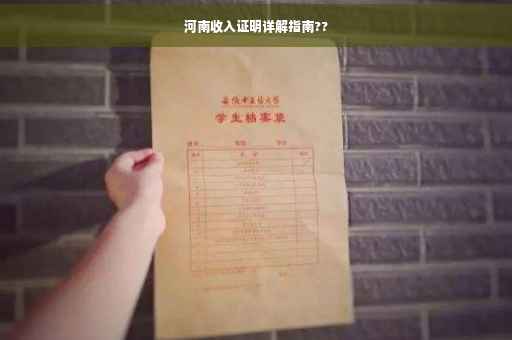 河南收入证明详解指南??