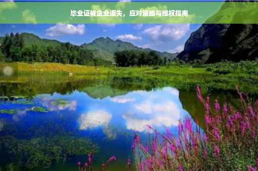 毕业证被企业遗失，应对策略与维权指南