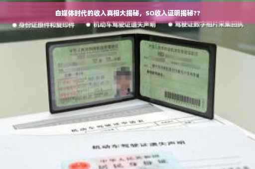 自媒体时代的收入真相大揭秘，SO收入证明揭秘??