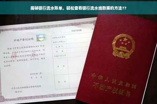 揭秘银行流水账单，轻松查看银行流水线数据的方法??