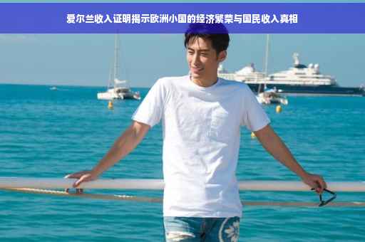 爱尔兰收入证明揭示欧洲小国的经济繁荣与国民收入真相