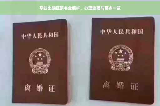 孕妇出院证明书全解析，办理流程与要点一览
