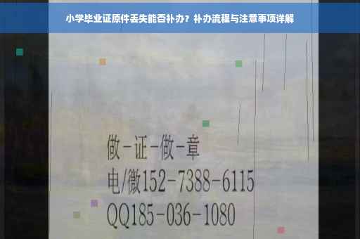 小学毕业证原件丢失能否补办？补办流程与注意事项详解