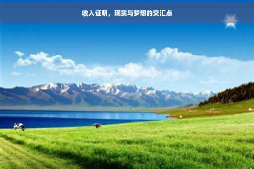 收入证明，现实与梦想的交汇点