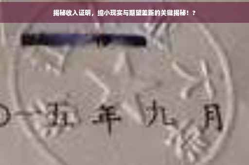 揭秘收入证明，缩小现实与期望差距的关键揭秘！?