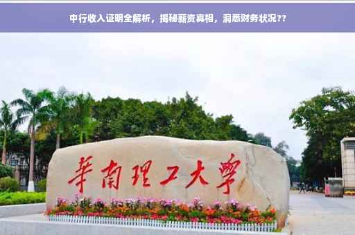 中行收入证明全解析,揭秘薪资真相,洞悉财务状况?? 中行收入证明全解析,揭秘薪资真相,洞悉财务状况??