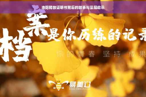 洛阳释放证明书背后的故事与深层启示