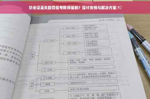 毕业证丢失能否报考教师编制？探讨资格与解决方案 ?✨