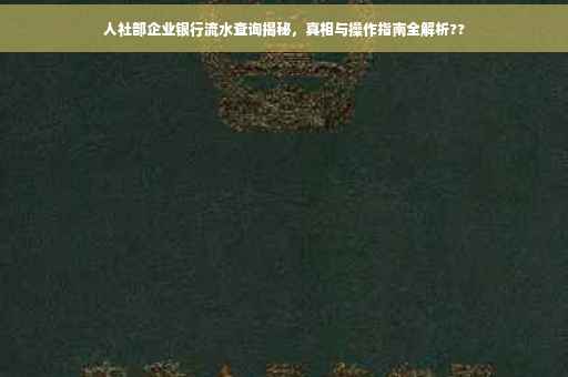 人社部企业银行流水查询揭秘，真相与操作指南全解析??