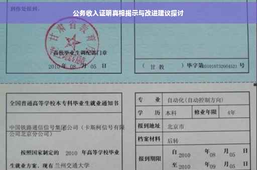 公务收入证明真相揭示与改进建议探讨