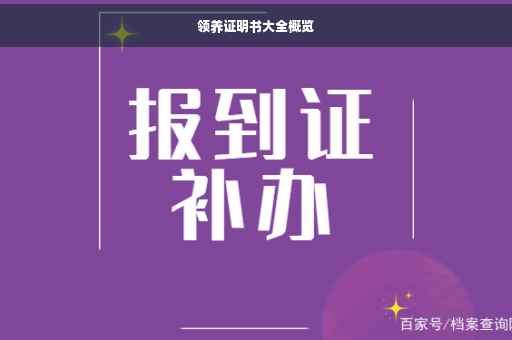 领养证明书大全概览