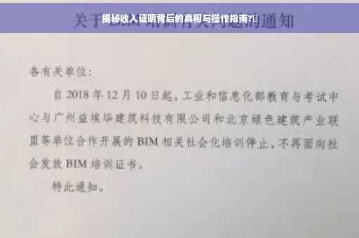 揭秘收入证明背后的真相与操作指南?✨