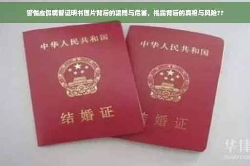 警惕虚假弱智证明书图片背后的骗局与危害，揭露背后的真相与风险??