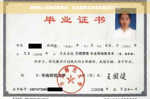 网吧收入现象深度解析，经济趋势与未来发展探究?⚡️