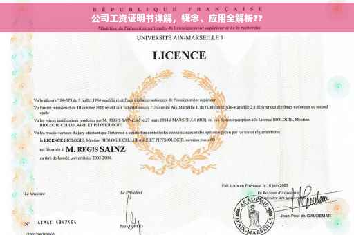 公司工资证明书详解，概念、应用全解析??