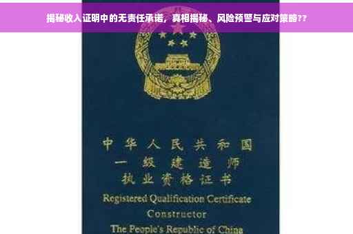 揭秘收入证明中的无责任承诺，真相揭秘、风险预警与应对策略??