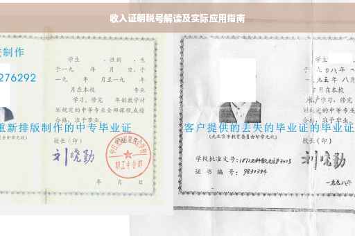 收入证明税号解读及实际应用指南