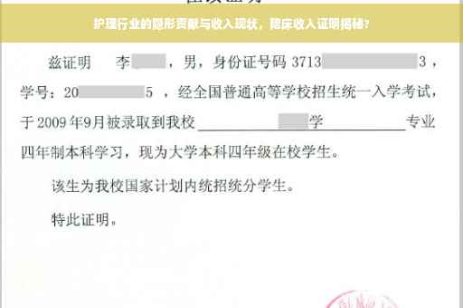 护理行业的隐形贡献与收入现状，陪床收入证明揭秘?