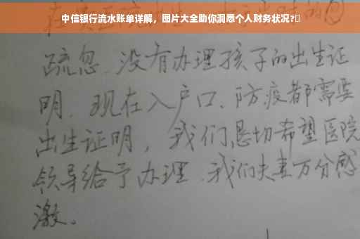 中信银行流水账单详解，图片大全助你洞悉个人财务状况?✨