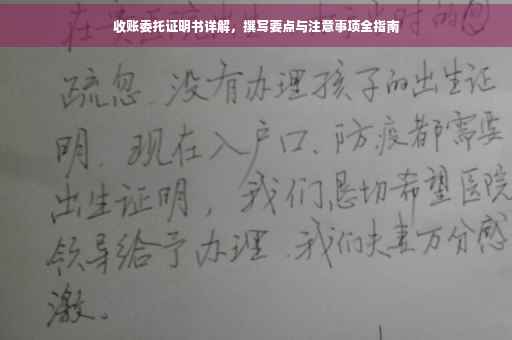 收账委托证明书详解，撰写要点与注意事项全指南