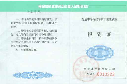 揭秘限购政策背后的收入证明真相?