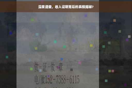 深度调查，收入证明背后的真相揭秘?
