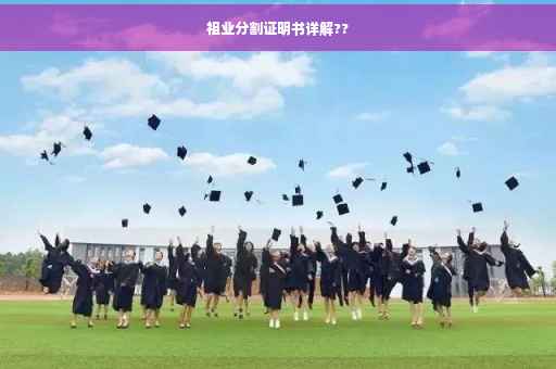 祖业分割证明书详解??