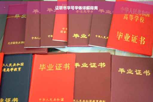 证明书字号字体详解指南