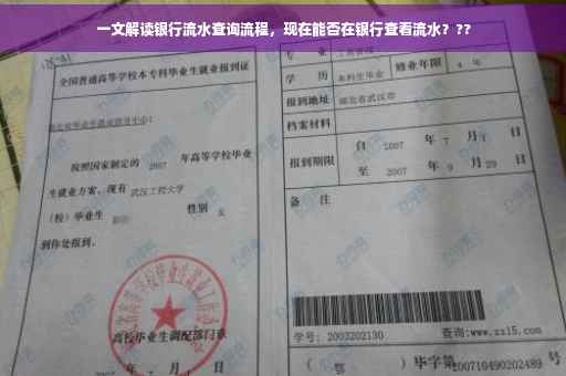 一文解读银行流水查询流程，现在能否在银行查看流水？??